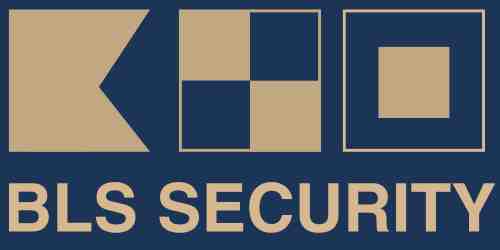 BLS Security Logo